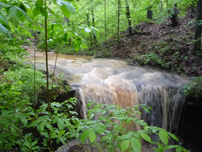 swift water - scenic Riffle Waterfall near Millwood, West Virginia
