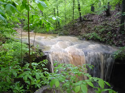 swift water - scenic Riffle Waterfall (Riffle Falls) near Cottageville and Millwood, West Virginia